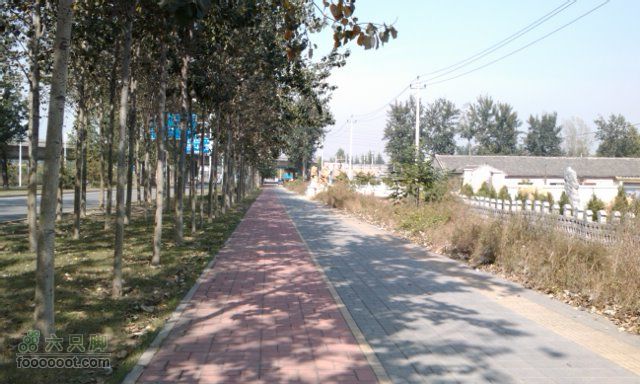 2010-10-16 凤凰岭 去程红色：自行车道；灰色：人行道