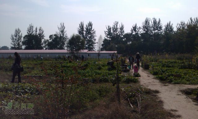 2010-10-16 凤凰岭 去程人