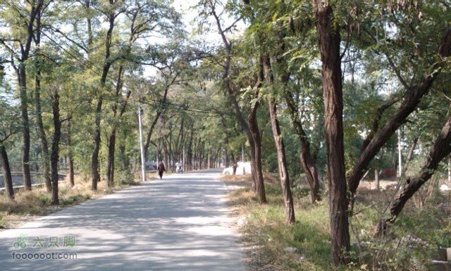 2010-10-16 凤凰岭 去程路口修路，转向西