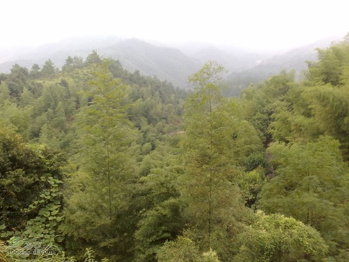 福建长汀牛岭风景区游览201010111177