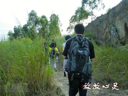 广州火龙线_放牧心灵向森林公园前进