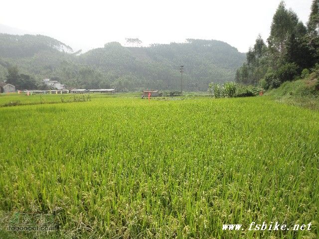 骑行（广东）佛山第一峰皂幕山BigBull_DSC00530