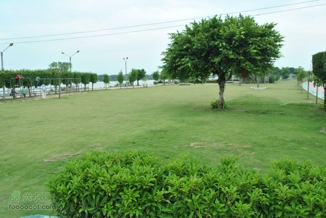韩江边休闲DSC_0033