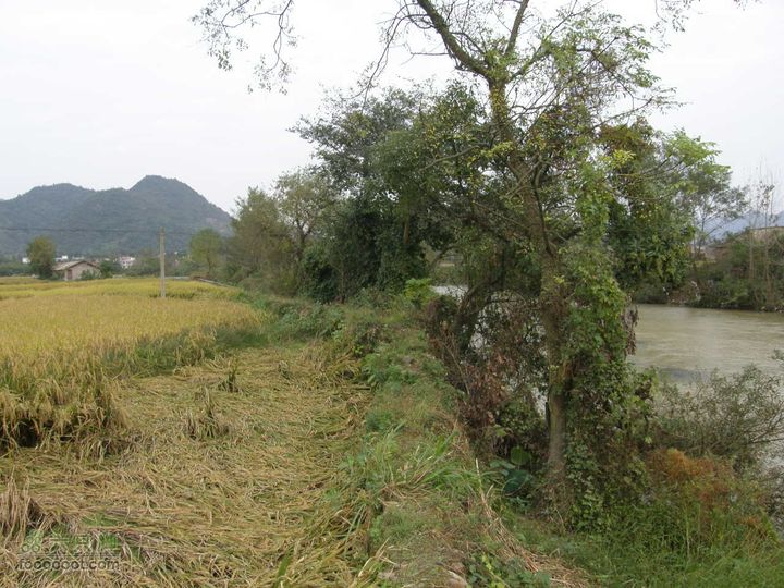 依依青山、涓涓绿水-宜春近郊经典徒步路线之二（下浦-长青厂）PA260629