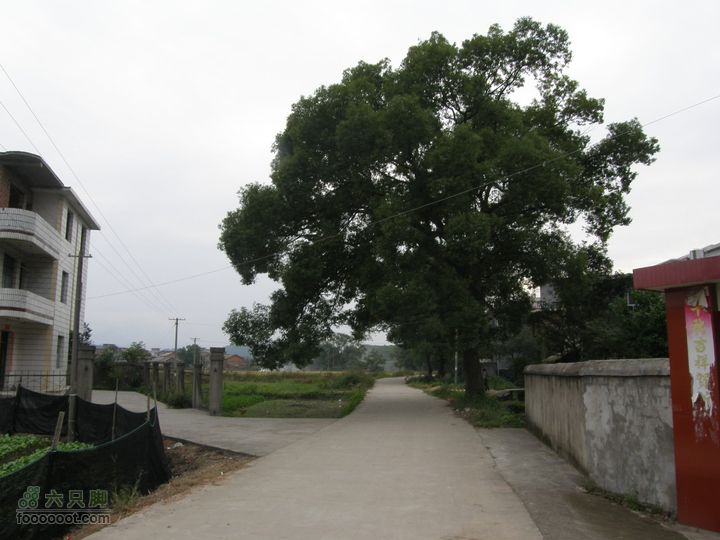 依依青山、涓涓绿水-宜春近郊经典徒步路线之二（下浦-长青厂）PA260652