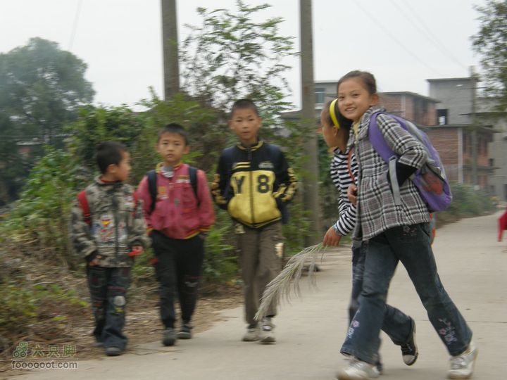 依依青山、涓涓绿水-宜春近郊经典徒步路线之二（下浦-长青厂）PA260655