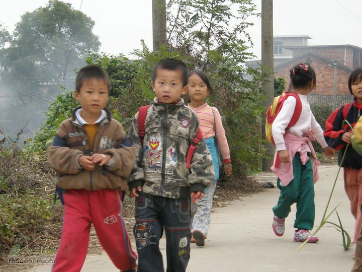 依依青山、涓涓绿水-宜春近郊经典徒步路线之二（下浦-长青厂）PA260659