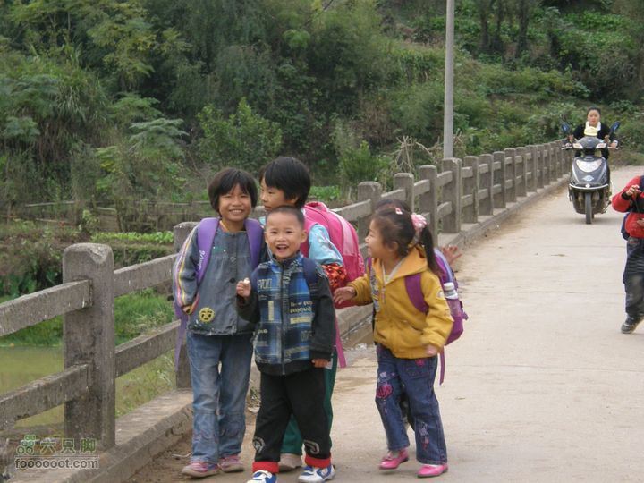 依依青山、涓涓绿水-宜春近郊经典徒步路线之二（下浦-长青厂）PA260680