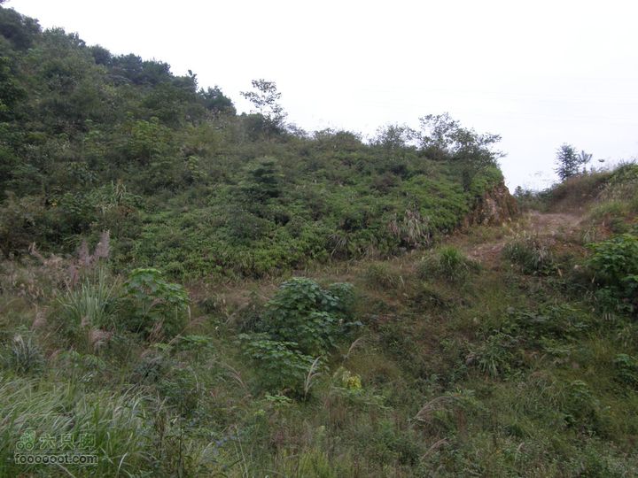 依依青山、涓涓绿水-宜春近郊经典徒步路线之二（下浦-长青厂）PA260705