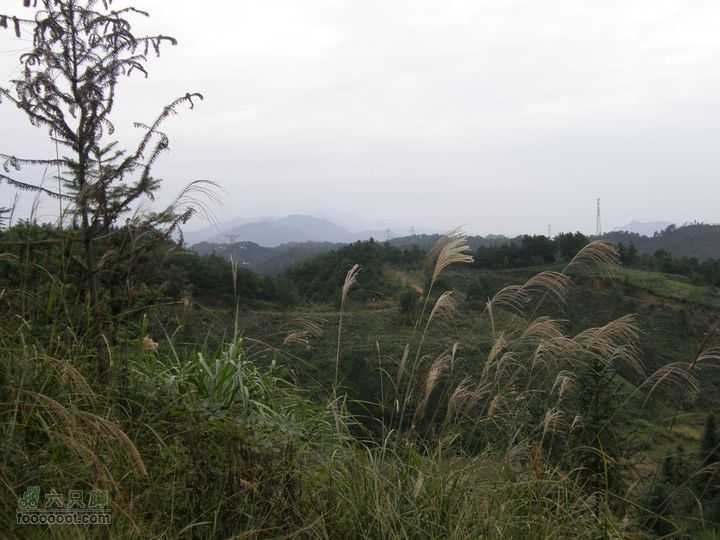 依依青山、涓涓绿水-宜春近郊经典徒步路线之二（下浦-长青厂）PA260706