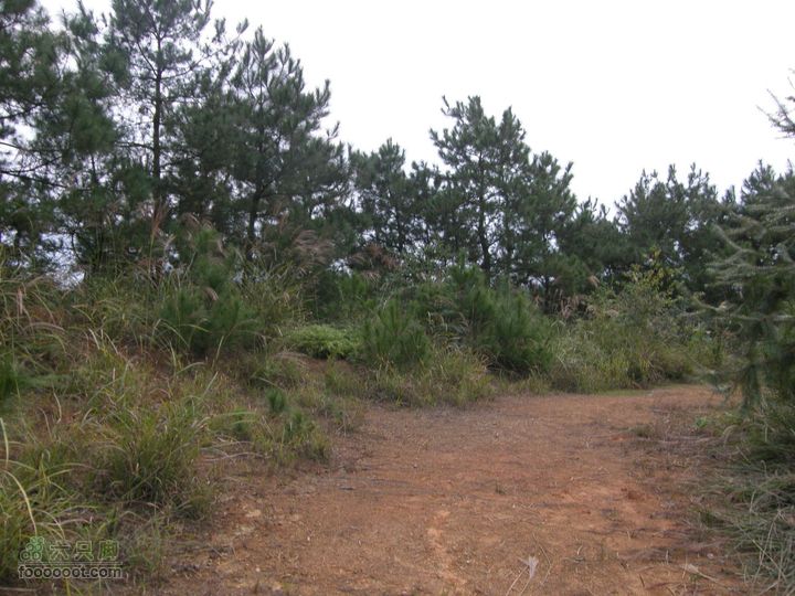 依依青山、涓涓绿水-宜春近郊经典徒步路线之二（下浦-长青厂）PA260708