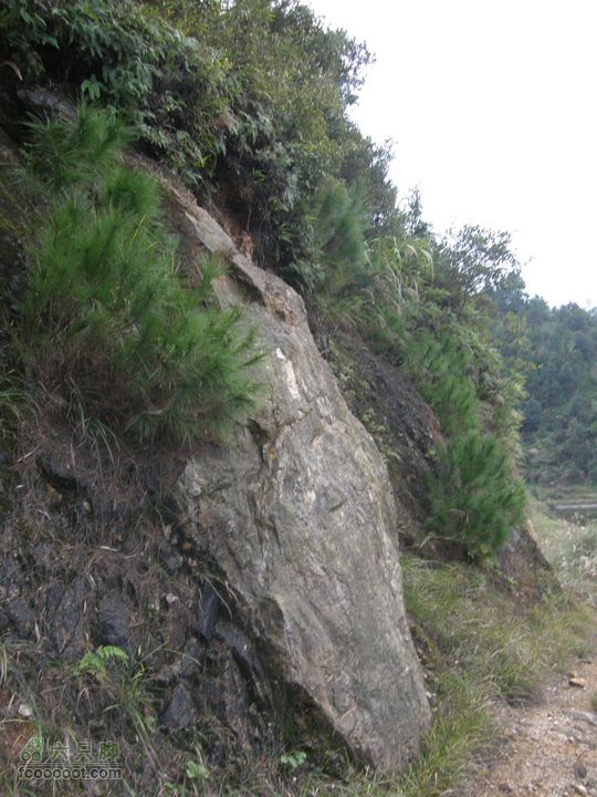 依依青山、涓涓绿水-宜春近郊经典徒步路线之二（下浦-长青厂）PA260711