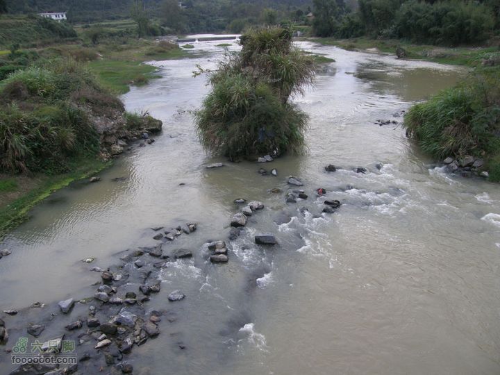 依依青山、涓涓绿水-宜春近郊经典徒步路线之二（下浦-长青厂）PA260716