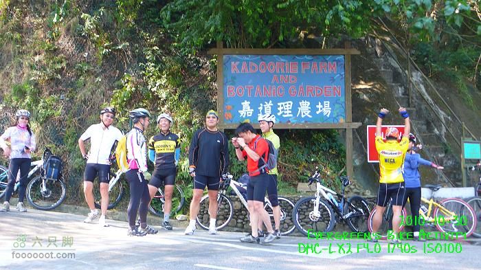 2010 10 30 大埔>八鄉>流浮山>元朗P1330486