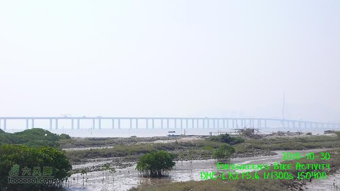 2010 10 30 大埔>八鄉>流浮山>元朗P1330621