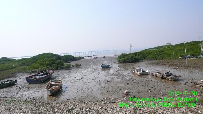 2010 10 30 大埔>八鄉>流浮山>元朗P1330630