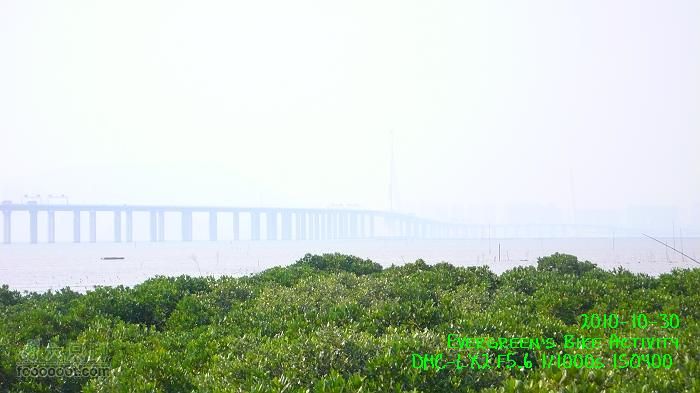 2010 10 30 大埔>八鄉>流浮山>元朗P1330643