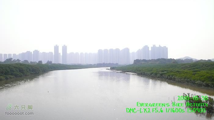 2010 10 30 大埔>八鄉>流浮山>元朗P1330696