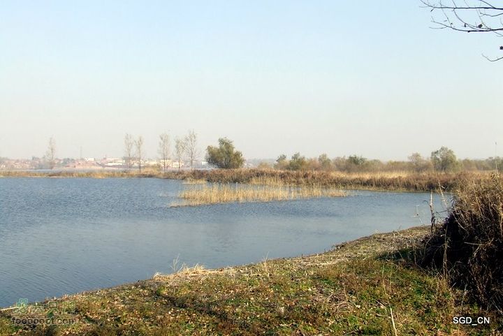大青水库_掉龙湾水库DSCF5976