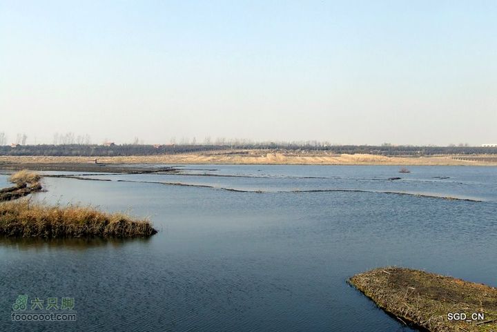 大青水库_掉龙湾水库DSCF5979