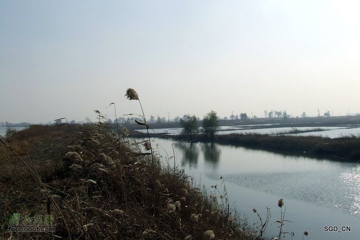 大青水库_掉龙湾水库DSCF5985