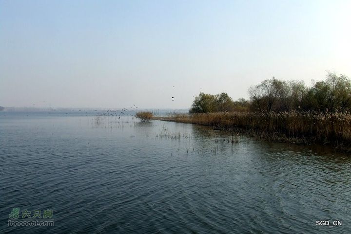 大青水库_掉龙湾水库DSCF5988