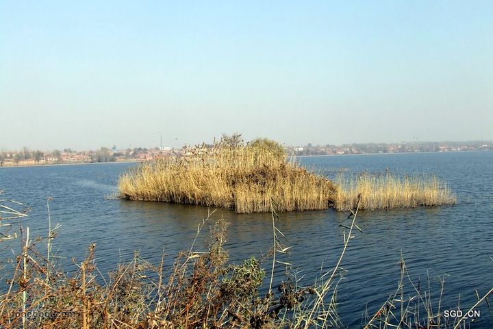 大青水库_掉龙湾水库DSCF5992