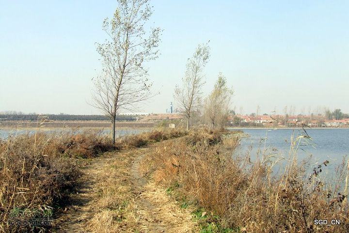 大青水库_掉龙湾水库DSCF5994