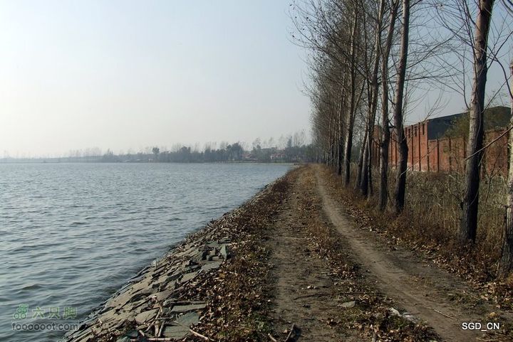 大青水库_掉龙湾水库DSCF5996
