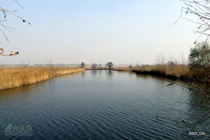 大青水库_掉龙湾水库DSCF6004