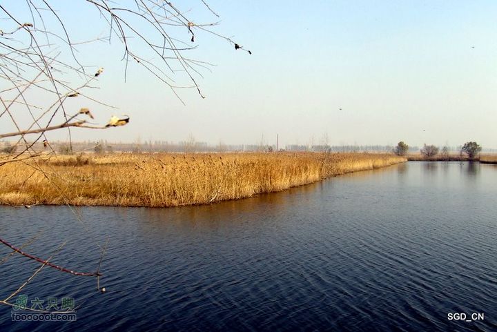 大青水库_掉龙湾水库DSCF6005