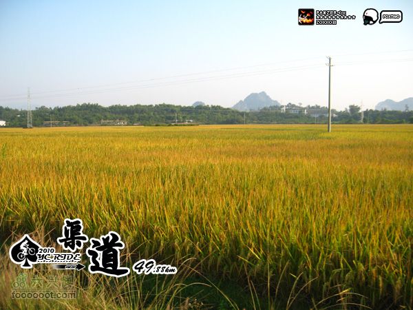 20101031-万圣节渠道行20