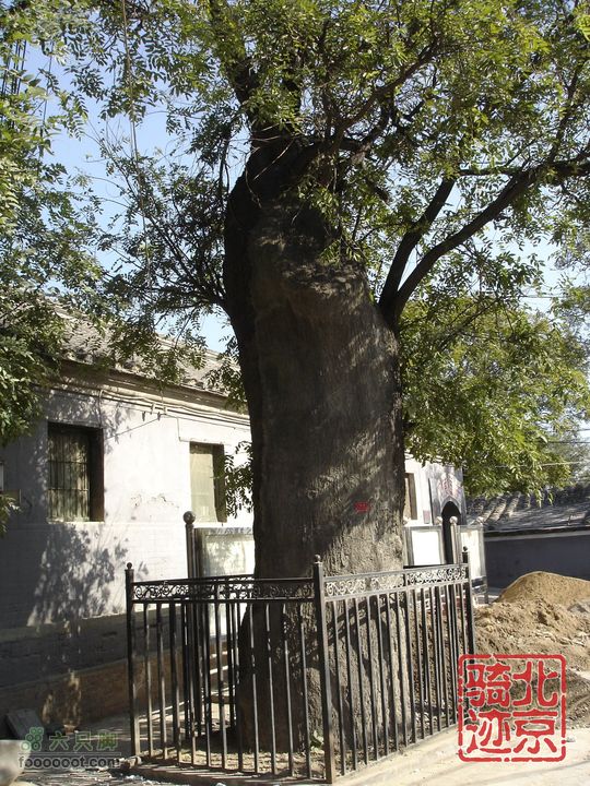 北京骑迹30 寻访琉璃之乡---琉璃渠 走西山大路第一关隘nEO_IMG_DSC06169