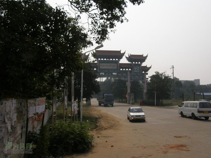 四迹合一（飞机、动车组、汽车、步行速度大比拼）PA300683