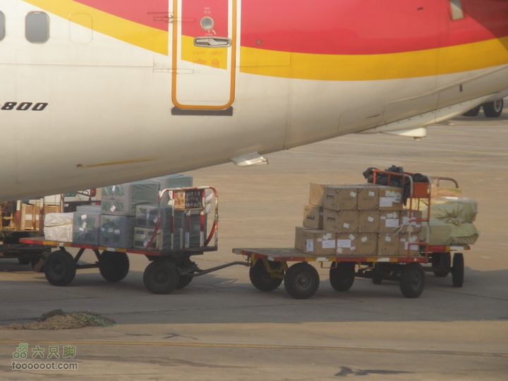 四迹合一（飞机、动车组、汽车、步行速度大比拼）PA300737