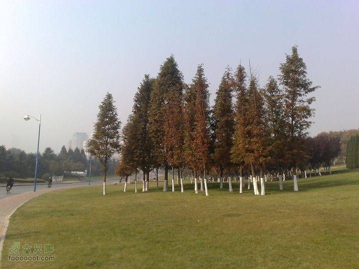 再游金州童牛岭 - 经典徒步游览路线201011051360