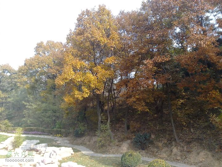 再游金州童牛岭 - 经典徒步游览路线201011051367