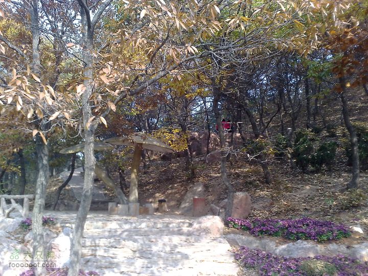 再游金州童牛岭 - 经典徒步游览路线201011051373