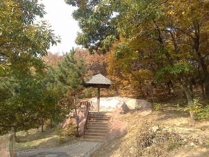 再游金州童牛岭 - 经典徒步游览路线201011051386