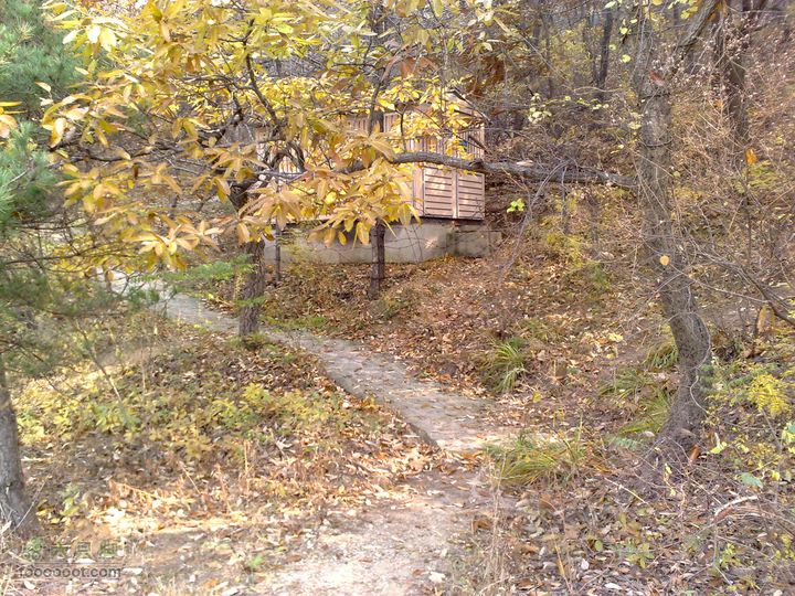 再游金州童牛岭 - 经典徒步游览路线201011051403