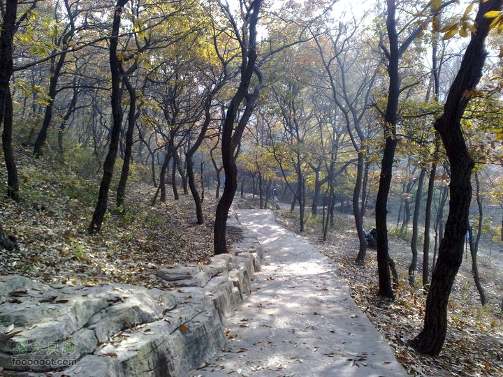 再游金州童牛岭 - 经典徒步游览路线201011051412