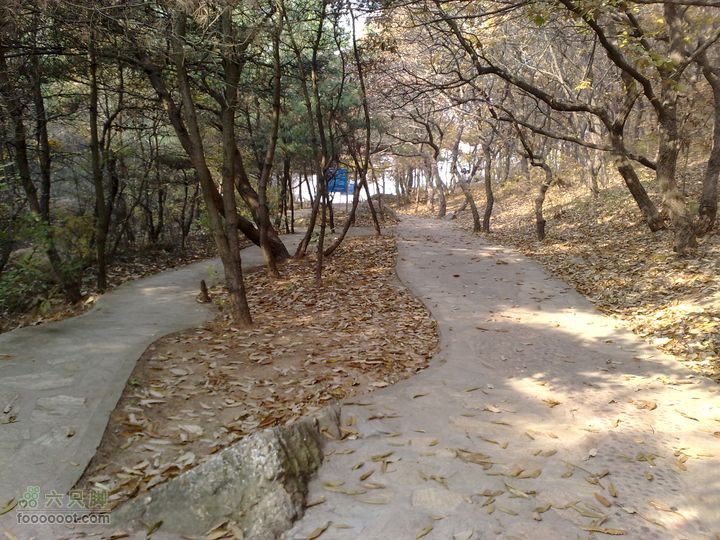 再游金州童牛岭 - 经典徒步游览路线201011051417