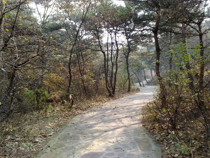 再游金州童牛岭 - 经典徒步游览路线201011051418