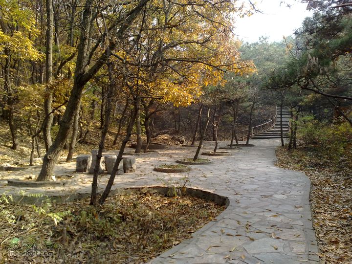 再游金州童牛岭 - 经典徒步游览路线201011051426