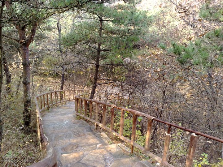 再游金州童牛岭 - 经典徒步游览路线201011051428