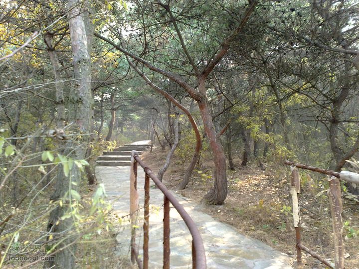 再游金州童牛岭 - 经典徒步游览路线201011051429