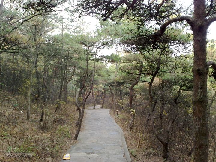 再游金州童牛岭 - 经典徒步游览路线201011051431