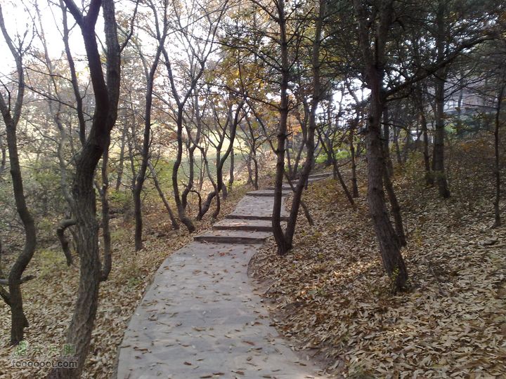 再游金州童牛岭 - 经典徒步游览路线201011051432