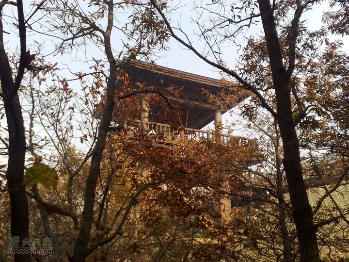 再游金州童牛岭 - 经典徒步游览路线201011051433