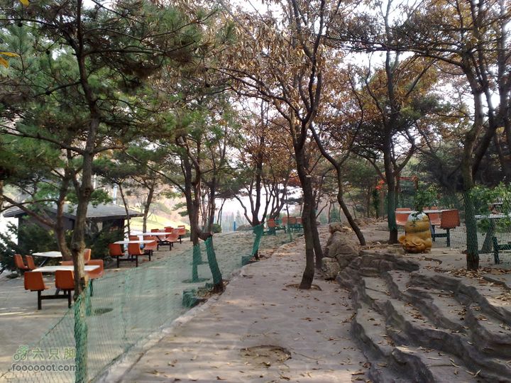 再游金州童牛岭 - 经典徒步游览路线201011051436